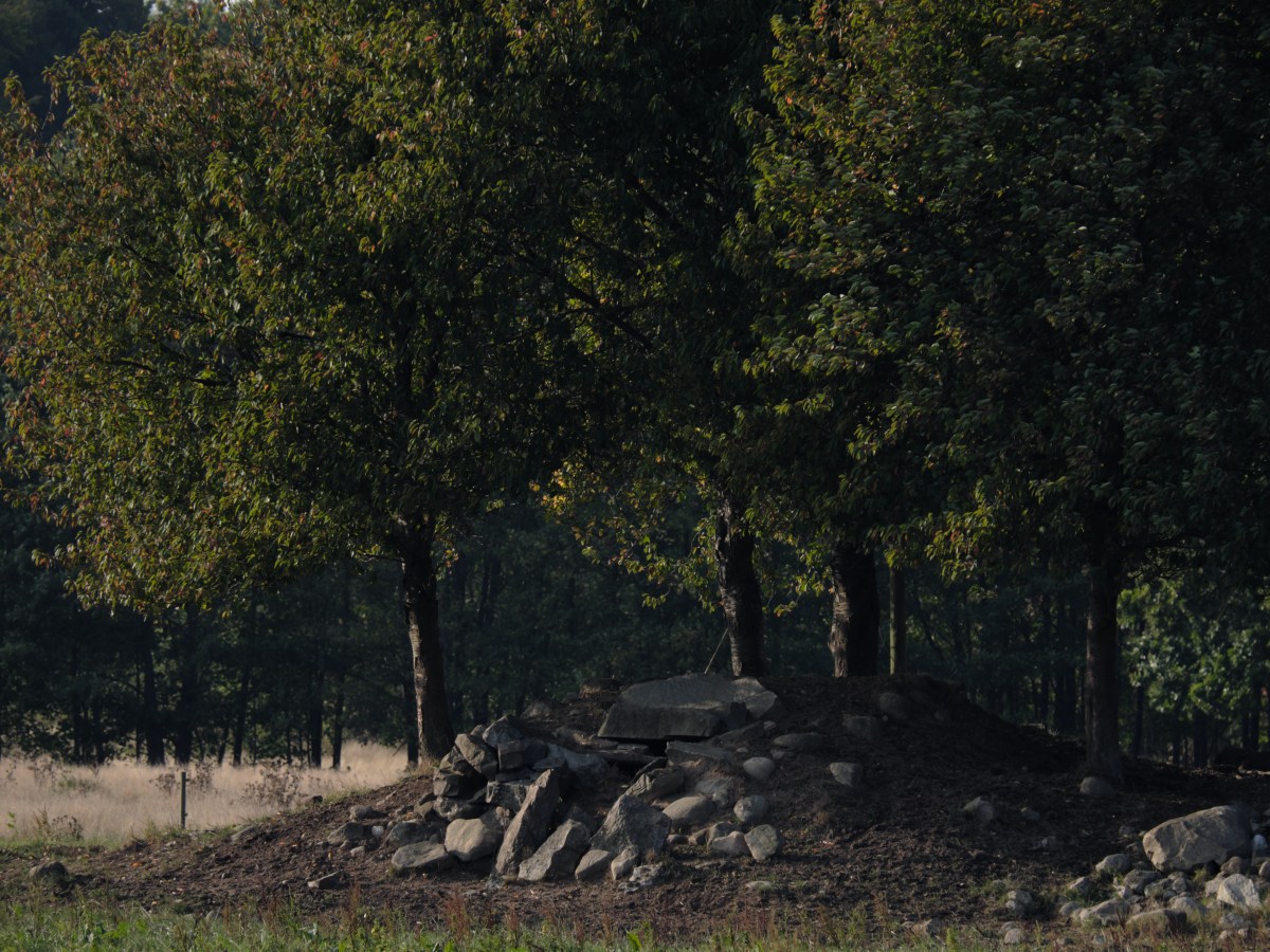 Autumn Equinox ’20 –&nbsp;Österlen